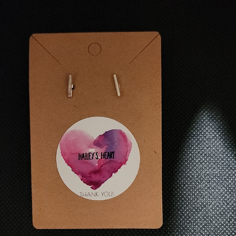 5/$25 Silver Bar Earrings